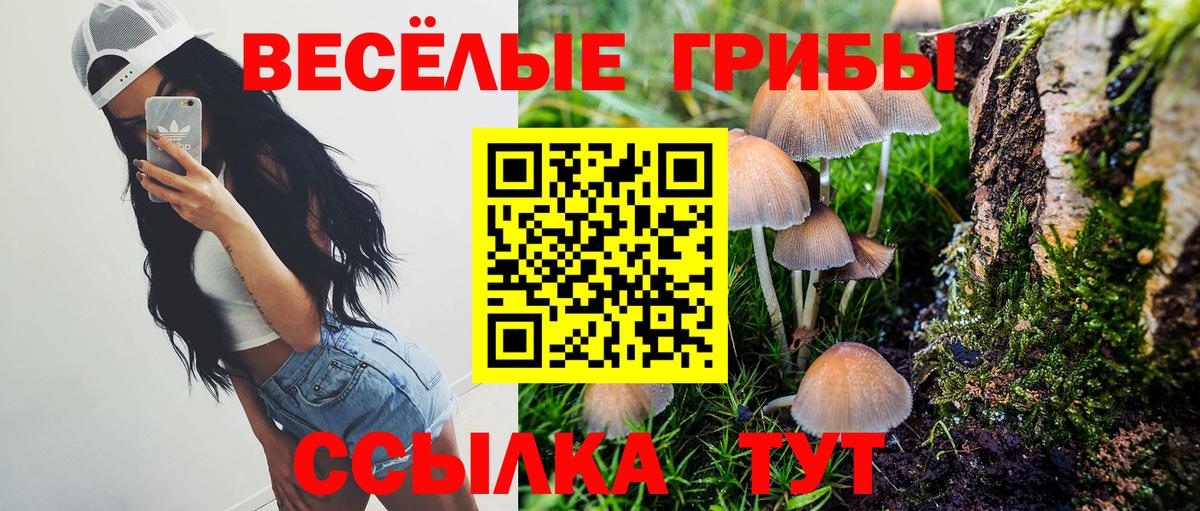 Кудымкар  Псилоцибиновые грибы мухоморы  Галлюциногенные грибы Psilocybe  Вход с VPN 