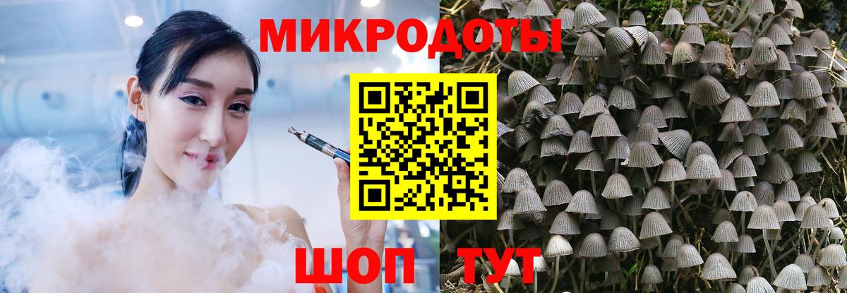 Псилоцибиновые грибы Кудымкар